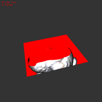 snapshot16.jpg