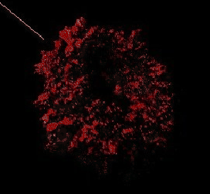 \includegraphics[%
width=0.33\columnwidth,
keepaspectratio]{eps/tdpv-tore-ombre-pos1.jpg.eps}