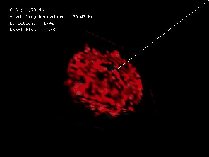 \includegraphics[%
width=0.33\columnwidth,
keepaspectratio]{eps/tore-32-60-14-normal.jpg.eps}